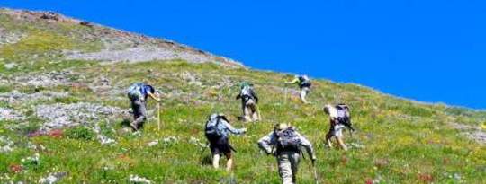 Higher Consciousness & Your Career Higher Consciousness Throgh Self-Discovery